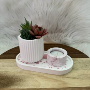 Sukkulenten Töpfli - Image 2